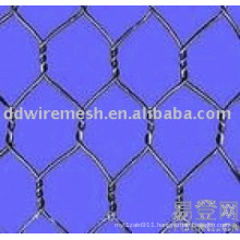 hexagonal mesh